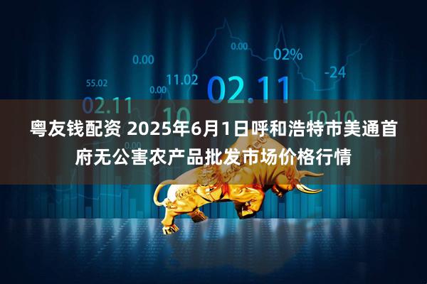 粤友钱配资 2025年6月1日呼和浩特市美通首府无公害农产品批发市场价格行情