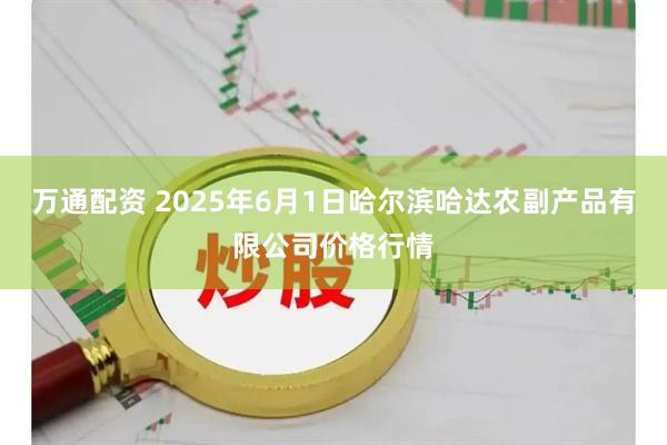 万通配资 2025年6月1日哈尔滨哈达农副产品有限公司价格行情