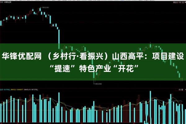 华锋优配网 （乡村行·看振兴）山西高平：项目建设“提速” 特色产业“开花”