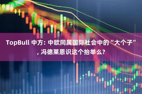 TopBull 中方: 中欧同属国际社会中的“大个子”, 冯德莱恩识这个抬举么?