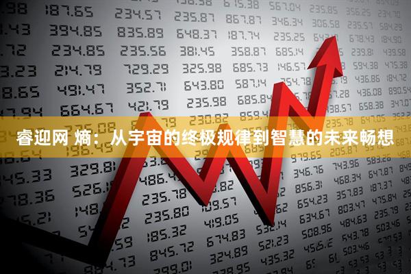 睿迎网 熵：从宇宙的终极规律到智慧的未来畅想