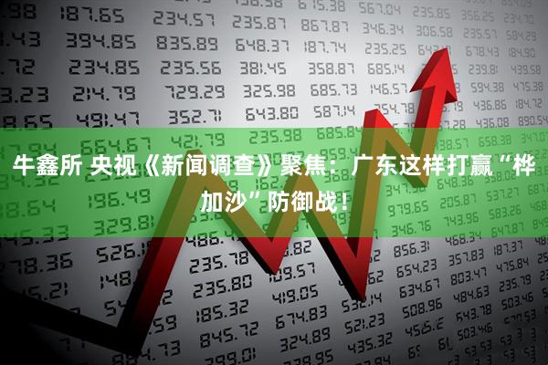 牛鑫所 央视《新闻调查》聚焦：广东这样打赢“桦加沙”防御战！